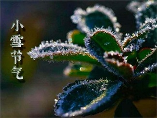 小雪 |冬治白癜风疗效好,快速激活“冬眠”黑色素!
